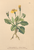 [thumbnail of 11925_1.png]