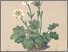 [thumbnail of 11664_1.png]