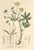 [thumbnail of 11846_1.png]