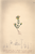 [thumbnail of 12015_1.png]