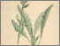 [thumbnail of 12009_1.png]