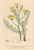 [thumbnail of 11930_1.png]