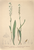 [thumbnail of 12313_1.png]