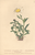 [thumbnail of 11894_1.png]