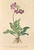 [thumbnail of 12291_1.png]