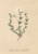 [thumbnail of 11756_1.png]