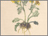 [thumbnail of 11902_1.png]