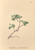 [thumbnail of 12323_1.png]