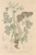 [thumbnail of 11850_1.png]