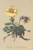[thumbnail of 11785_1.png]