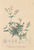 [thumbnail of 11728_1.png]