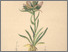 [thumbnail of 11951_1.png]