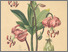 [thumbnail of 12342_1.png]