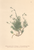[thumbnail of 11744_1.png]