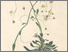 [thumbnail of 11835_1.png]