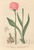 [thumbnail of 12329_1.png]