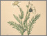 [thumbnail of 11892_1.png]