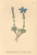 [thumbnail of 11979_1.png]