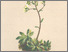 [thumbnail of 11837_1.png]