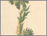 [thumbnail of 11816_1.png]