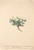 [thumbnail of 11716_1.png]