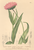 [thumbnail of 11866_1.png]