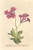 [thumbnail of 12289_1.png]