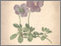 [thumbnail of 11724_1.png]