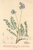 [thumbnail of 11775_1.png]