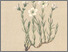 [thumbnail of 11743_1.png]