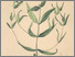 [thumbnail of 11999_1.png]