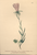 [thumbnail of 11950_1.png]