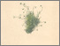 [thumbnail of 11741_1.png]
