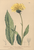 [thumbnail of 11928_1.png]