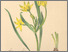 [thumbnail of 12346_1.png]