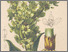 [thumbnail of 12350_1.png]