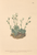 [thumbnail of 11828_1.png]