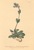 [thumbnail of 11992_1.png]