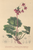 [thumbnail of 12301_1.png]