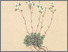 [thumbnail of 11838_1.png]