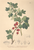 [thumbnail of 11817_1.png]