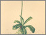 [thumbnail of 12288_1.png]