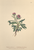 [thumbnail of 11871_1.png]