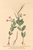 [thumbnail of 11804_1.png]