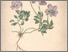 [thumbnail of 11723_1.png]