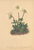[thumbnail of 11652_1.png]