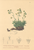 [thumbnail of 11826_1.png]