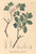 [thumbnail of 11952_1.png]
