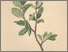 [thumbnail of 12320_1.png]