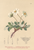 [thumbnail of 11783_1.png]